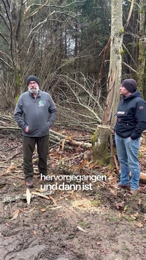 "Der Förster fällt doch nur Bäume…“