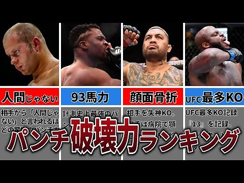 最強の「破壊力」 ヘビー級ファイターパンチの強さランキングTOP10【MMA・格闘技】