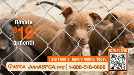 ASPCA TV Spot, 'Hunger: Eric' Featuring Eric McCormack
