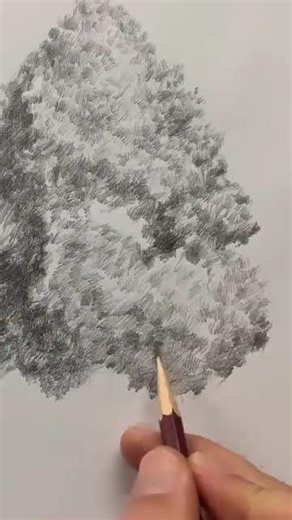 How to draw a Tree with Crosshatching ✍️ #drawingtutorial #howtodraw #easydrawing #drawing#art