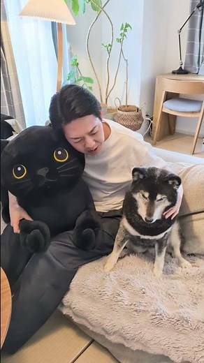 【北海道知事】クロネコヤマトと柴犬