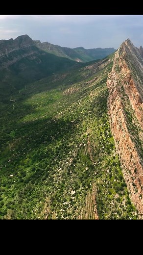 Exploring Asia's Dramatic Wildlife in Mountains