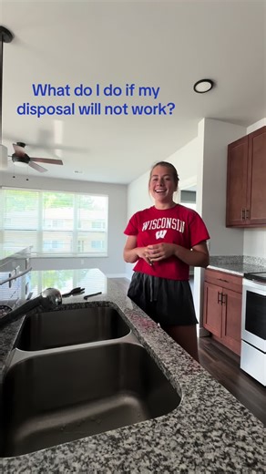 How to fix your clogged garbage disposal🙂 #lakestoneproperties #apartmentliving #maintenancetips