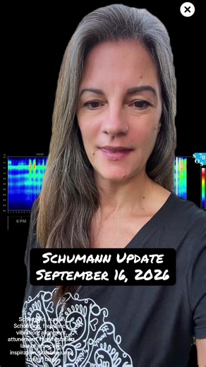 #schumannresonance #humanschumann #timelinejump #manifestation #lawofattraction