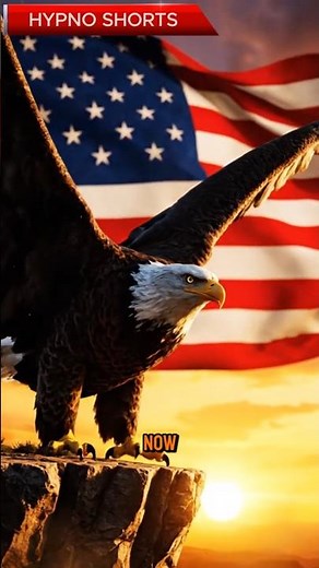 Why the Bald Eagle Became America’s Most Powerful Symbol