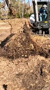 27K views · 148 reactions | Ripping Up BIG Stumps #stumpremoval #removingstumps #stumpremoval | The Kelley's country life | Facebook
