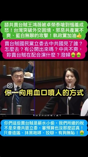 你們這些賣台賊是薪水小偷，審預算也沒那麼認真！只會造謠、抹黑咆哮、狡辯，有夠無恥！賣台賊國民黨立委去中共國見了誰？怎麼去？有公開出來嗎？中共不爽，妳賣台賊在配合演什麼？潑婦🤮