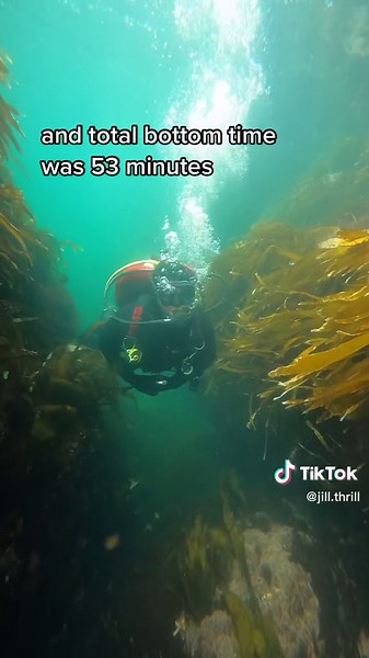 cold water diving slaps #fyp #ocean #scubadiving #gopro #canada #newfoundland #eastcost #scubatiktok #fish