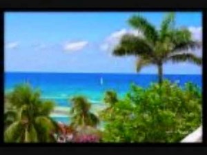 Gospel reggae - Jesus will lead me