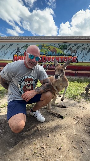 10K views · 444 reactions | Walkthrough Safari Tours, Walk...