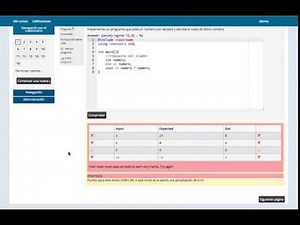 CodeRunner from the student perspective