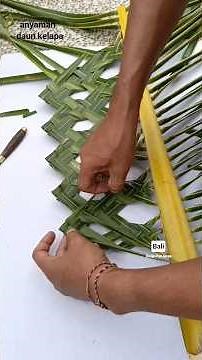 Coconut leaf weaving tutorial