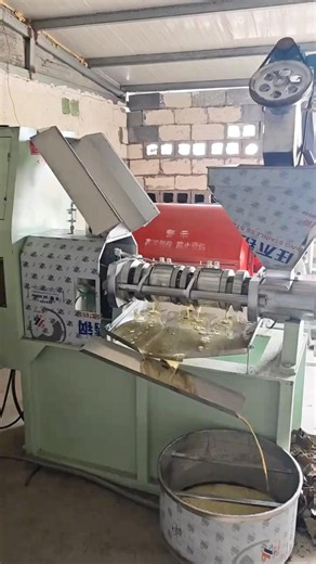 How Does Screw Oil Press Extract High-Quality Edible Oil From Raw Oilseeds #oilpressmachine