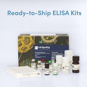 Get started fast or speed up your existing antibody pair-based assay development workflows with ELISA kits from CST. 🧇 Ready-to-use 96-well kits ➕ Customizable 384-well format available ⭐ Consistent from lot to lot 🎯 Sensitive, specific, & proven to work as expected Explore 450 ready-to-ship options for key signaling nodes/readouts and biomarkers across multiple diseases: https://hubs.ly/Q03t_c3W0 | Cell Signaling Technology, Inc.