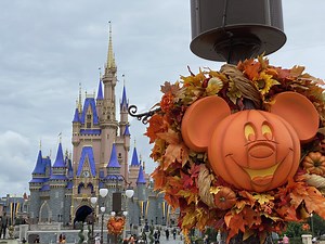 Adults Can Now Wear Costumes In The Magic Kingdom For Halloween | Chip and Company
