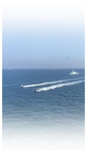 wo din aega meaning and context — Pak Navy & Pak Army support
