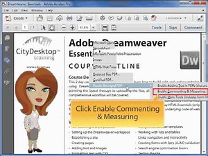 Adobe Acrobat - Enable Commenting in Adobe Reader