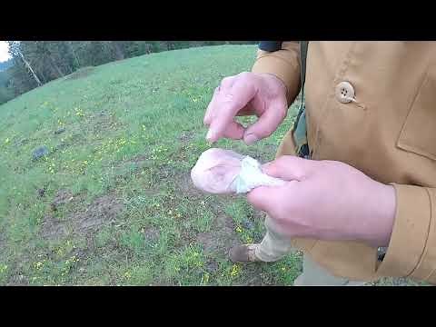 Injury Potential From Revolver Cylinder Gap