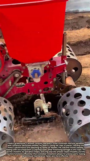 Worker Operating Small Motorized Cylinder-Wheel Machine Inside a Greenhouse