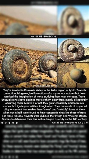 The "living" rocks that baffle geologists 🪨 #geology #livingrocks #naturemystery #naturalwonders
