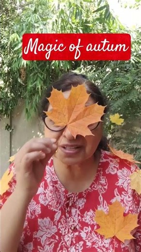 Magic of autum#seasons#ytshorts#viral#autum#funny#trendingshorts#shortsfeed#mood