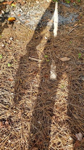 Mold Sampling And Lab Testing. Inside Home and Crawl Space. #CrawlSpace #MoldTesting