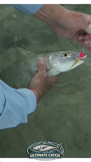 This Bonefish Didn’t Act Right