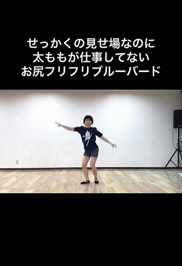 #バレエあるある 全編・最新作はYouTubeけっけちゃんねるへ❤️ 「眠れる森の美女」第３幕より青い鳥とフロリナ王女のグランパドドゥ ブルーバードのVa 書籍「松浦景子のバレエあるある」前編後編 2冊が全国書店やオンラインサイトにて発売中✨ #バレエ男子 #バレエ #balletboys #sleepingbeautyballet