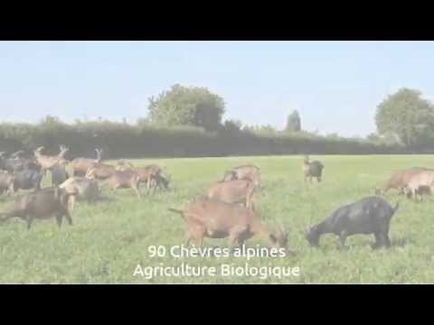 Fromagerie Chèvrefeuille - Fromage de chèvre