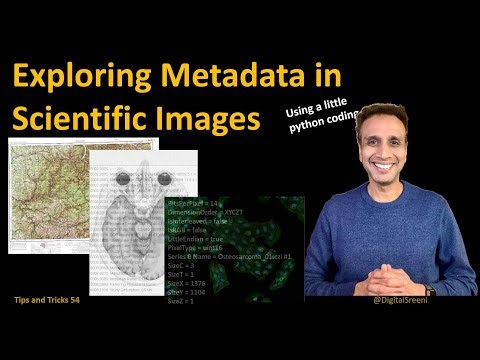 Exploring Metadata in Scientific Images