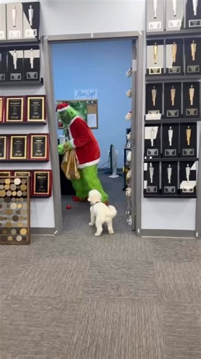 🎄🎄 Looks like Santa and the Grinch stopped by Pure H2O of Ohio to check things twice 📝👀 With all the homes we’ve helped upgrade their water this year, the real question is… are we landing on the Nice List for cleaner, safer water—or the Naughty List for exposing what’s actually in it? One thing’s certain: whether it’s Santa-approved or Grinch-approved, we’re keeping Central Ohio’s water crystal clear this holiday season. Visit https://pureh2ohealthywater.com/free-water-test-ohio/ or call 614