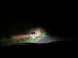 Horror night at Sumathi valavu