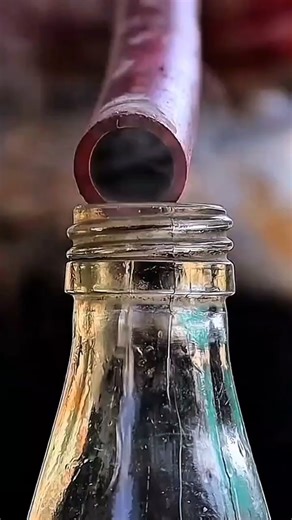 How Watermelon Turns Into Wine (Traditional Method)