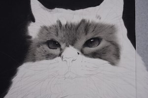 134K views · 3.6K reactions | Let me show you the steps I took to create this eye.. Follow @_zok_art for more. #_zok_art #learntodraw #pencildrawing #art #cat | ZokArt | Facebook