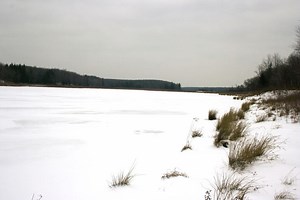 2007 Fort Dix attack plot - Alchetron, the free social encyclopedia