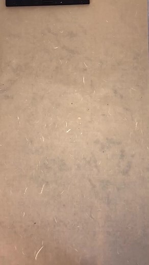 Japanese Sumie Ink Painting of Bamboo in Time-Lapse