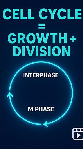 Remember Cell Cycle Phases in 5 Seconds | IPMAT Shortcut