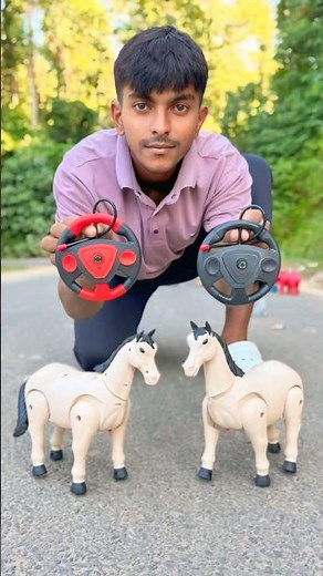 2 Ta ￼remote control horse unboxing & review and test