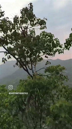 Hiring for Manual QA Engineer/9Apr2026 #hiring #youtubeshorts #viralvideo #job