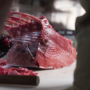 Chef Natalie Sawyer makes seared bone-in bluefin tuna chops with a green garlic dry brine using Bluefiná Inc. ⁠ Bluefin Tuna Chops / Green Pea Puree / Tuna Bordelaise / Shelling Peas / Confit Cherry Tomatoes / Grilled Baby Artichokes⁠ ⁠ #chefsroll #rollwithus #bestbluefin #Bluefintuna #ToroSushi #Otoro #PacificBluefinTuna #OtoroTuna #crfeaturesbluefina | Chef's Roll