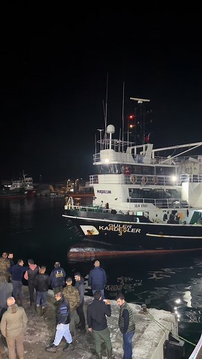 İstanbul Balık Hali: Taze Balıkların Adresi eBalıkcım
