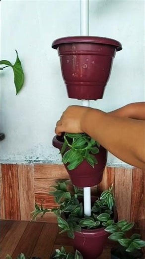 How to Make a 3-Tier Hanging Pot | 10-Week Growth Update