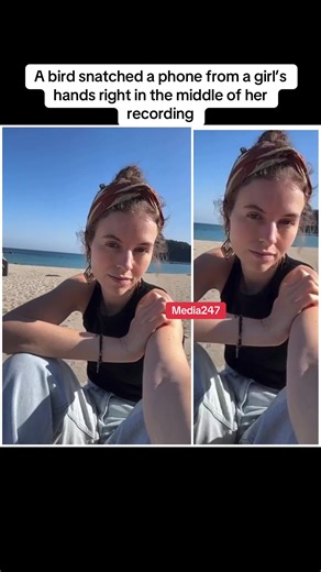 A bird snatched a phone from a girl’s hands right in the middle of her recording#blog #blogger #fyp #fytiktok #tiktokviravideo