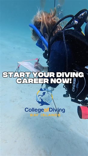 Bay Islands College Of Diving | Dreaming of becoming a PADI Open Water Scuba Instructor? 🤿 Our IDC dates are officially open for 2026! and there’s no better place to start... | Instagram
