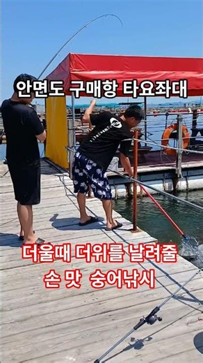 #타요좌대#야간좌대#주간좌대#숭어낚시#숭어채비#안면도구매항#구매항좌대#좌대낚시#야간낚시