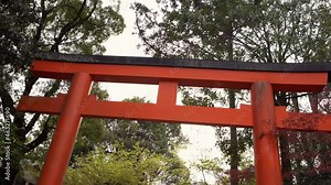 Beautiful red tori gate at Maruyama of Kyoto. Path with a japanese torii gateways entrance through a park to shinto temple. Famous tourist landmar sanctuary with traditional architecture at Japan-Dan