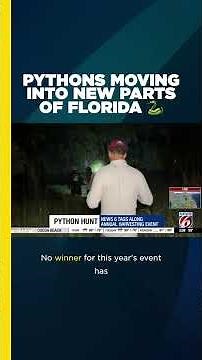 🐍 Florida's python problem just keeps growing