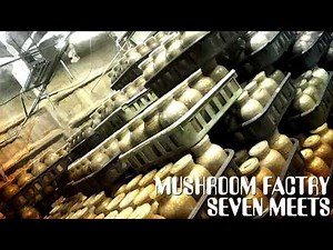 【vol.2】きのこの栽培方法の種類