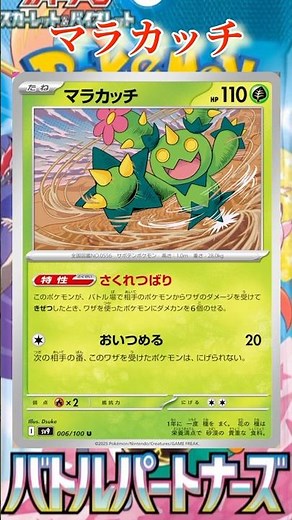 【ポケカ】新カード紹介！マラカッチを簡潔に説明！