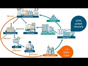 Webinar: Insect processing | Part 2: The circular economy of insect protein production